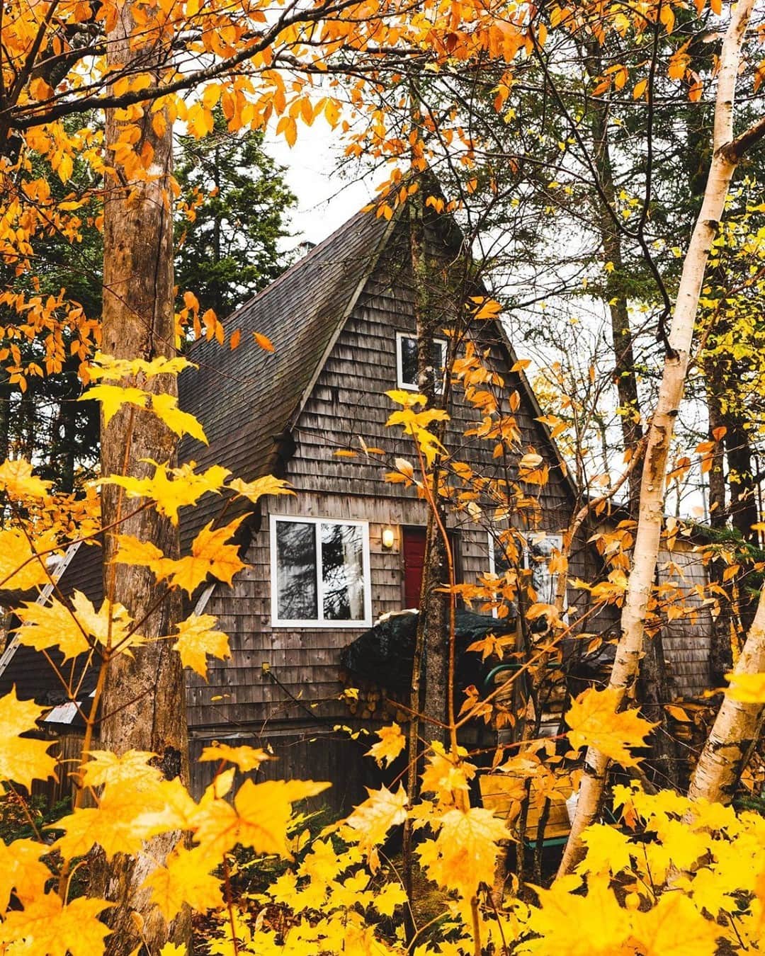 Explore Canadaのインスタグラム：「It might be almost winter, but we’re not ready to part with these fall colours just yet! ❤️🧡💛 #ExploreCanada #CanadaNice ⁠ ⁠ *Know before you go! Check the most up-to-date travel restrictions and border closures before planning your trip and if you're travelling in Canada, download the COVID Alert app to your mobile device.*⁠ ⁠ 📷: @kevinstiles⁠ 📍: @destinationnb⁠ ⁠ #ExploreNB⁠」