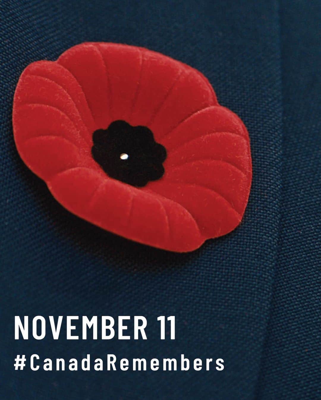 エリー・ブラックさんのインスタグラム写真 - (エリー・ブラックInstagram)「On November 11, we remember those who served and sacrificed for freedom. ♥ to remember. #CanadaRemembers」11月12日 1時13分 - ellieblack_