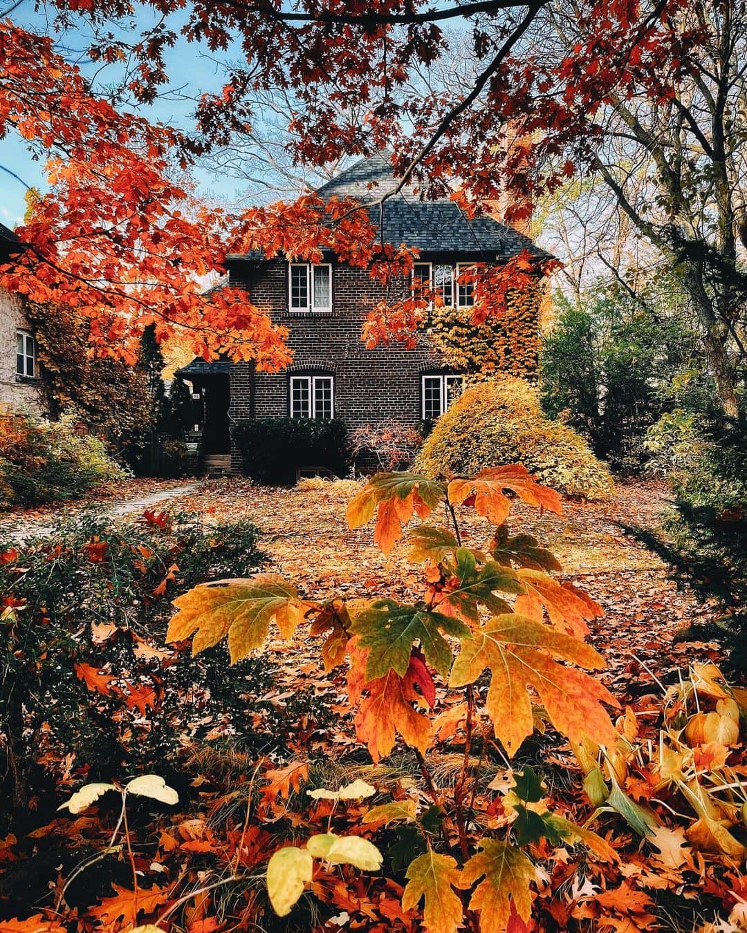 kaelのインスタグラム：「I hope you’ll indulge me in a few more autumn house portraits before the season is over 🏡🍁🍂」