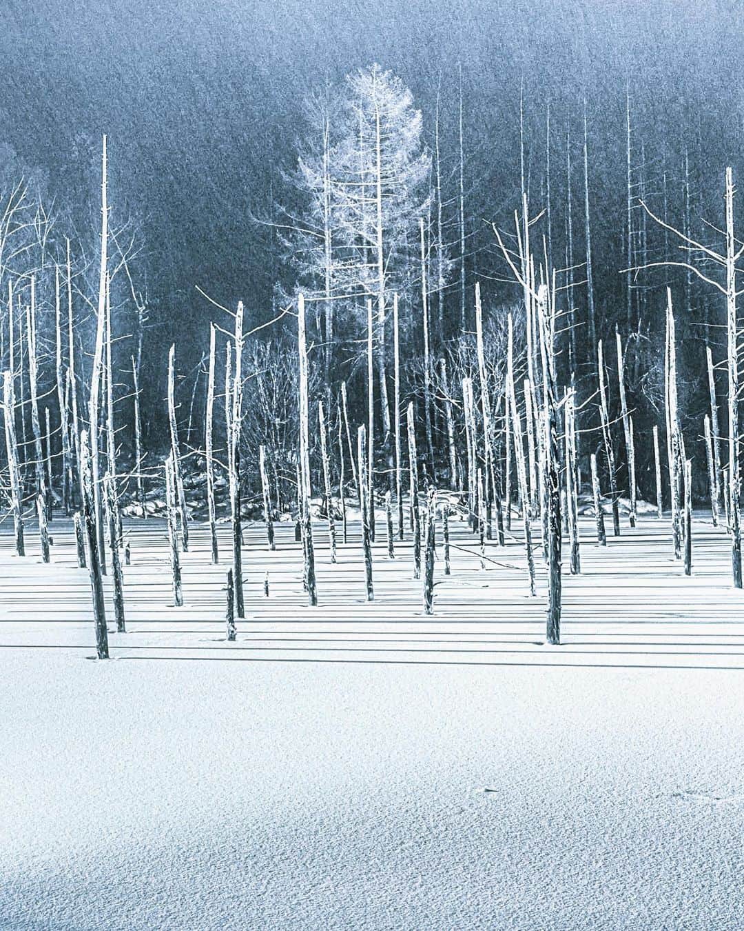 HAYAMI HANNAH ハナさん ど田舎さんのインスタグラム写真 - (HAYAMI HANNAH ハナさん ど田舎Instagram)「. Snowing Night  Blue Pond, Biei , Hokkaido   おやすみなさい💤 おはようございます☀  —————— 📸 @SonyAlpher 7MR3 📍 @Tamronjp A37 28mm 📍ISO 100 📍SS 5 sec 📍F8  #hayamihannah  #DiscoverJapan  #igersjp  #北海道 #StreetMods #tokyoCameraclub  #icu_japan  #visitJapanhk  #sonyimagegallery  #美瑛 #art_of_japan  #visitjapanjp  #visitjapanau  #visitjapantw  #東京カメラ部 #タビジョ #moodygrams⁠  #Way2ill #yourshotphotographer  #TimeOutTokyo #capitalshooters  #DarkMobs  #ZolimaHongKong  #写真好きな人と繋がりたい #青い池  #hongkong  #visualhongkong  #reframinghk  #moodygrams⁠  #Adorama #Way2ill  #discoverhongkong」11月12日 1時07分 - hayamihannah