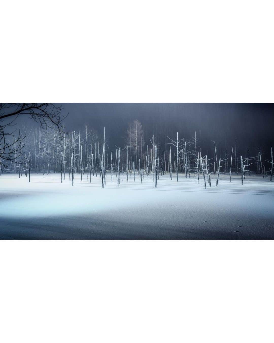 HAYAMI HANNAH ハナさん ど田舎さんのインスタグラム写真 - (HAYAMI HANNAH ハナさん ど田舎Instagram)「. Snowing Night  Blue Pond, Biei , Hokkaido   おやすみなさい💤 おはようございます☀  —————— 📸 @SonyAlpher 7MR3 📍 @Tamronjp A37 28mm 📍ISO 100 📍SS 5 sec 📍F8  #hayamihannah  #DiscoverJapan  #igersjp  #北海道 #StreetMods #tokyoCameraclub  #icu_japan  #visitJapanhk  #sonyimagegallery  #美瑛 #art_of_japan  #visitjapanjp  #visitjapanau  #visitjapantw  #東京カメラ部 #タビジョ #moodygrams⁠  #Way2ill #yourshotphotographer  #TimeOutTokyo #capitalshooters  #DarkMobs  #ZolimaHongKong  #写真好きな人と繋がりたい #青い池  #hongkong  #visualhongkong  #reframinghk  #moodygrams⁠  #Adorama #Way2ill  #discoverhongkong」11月12日 1時07分 - hayamihannah