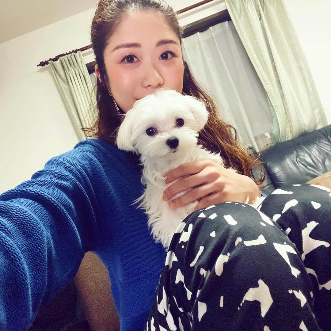 梶有紀子さんのインスタグラム写真 - (梶有紀子Instagram)「. MY ANNIVERSARY!!! 33th . 32歳は悩んで迷っても進む事にこだわった一年になりました😶 . 33歳はこだわりを持って1つ1つの目標に向き合って達成できる年にします🤍 . これからもこれからもこれからも どうぞよろしくね🌻 いつも私を心に置いてくださる皆様に感謝の気持ちを忘れずに走り続けます🏃‍♂️ . #ハッピーバースデートゥーミー #末永くよろしくお願いします #みなさま #愛してます . . #梶有紀子 #yukikokaji #シンガーソングライター #弾き語り #ギター弾き語り #ギター女子 #ギター好きな人と繋がりたい #jpopmusic #japanesemusician #singerslife #japanesesong #音楽好きな人と繋がりたい #instamusiciansdaily #musiciandaily #音楽家 #日常の幸せ #シンガーソングライターと繋がりたい」11月12日 2時02分 - kajiyukiko1112