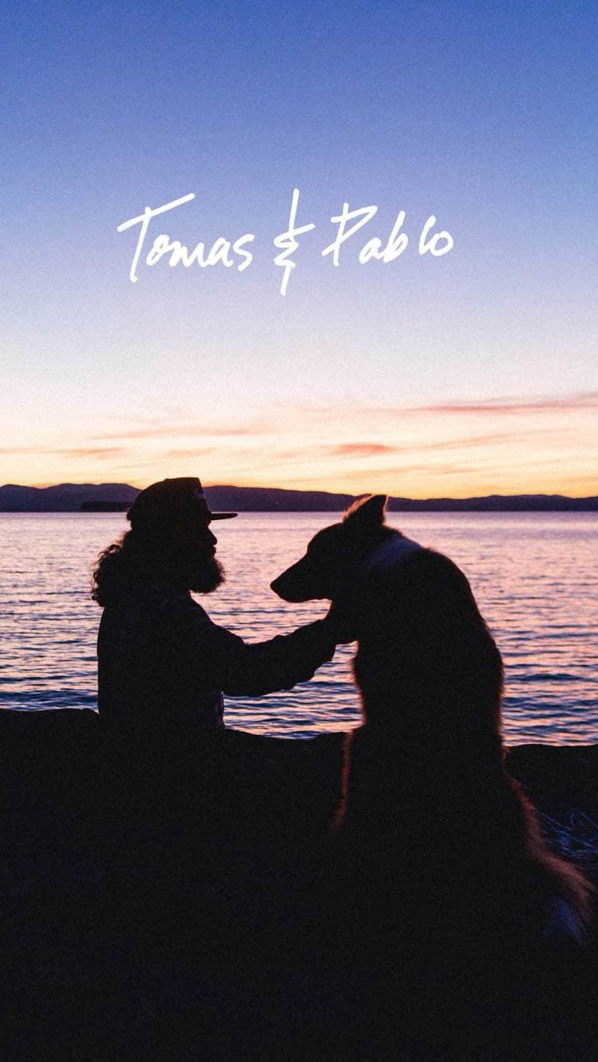 Andrew Knappのインスタグラム：「Grateful for the time I got to spend with this amazing Argentinian border collie, Pablo, who we lost yesterday and would have been 16 today. Thinking of Tomas and everyone this dog has touched. I met Tomas while I was touring my first book in Vermont, he showed real human kindness and hospitality to myself and Zach, who I was travelling with at the time. We bonded over our love for our dogs, and shared his incredible story. Really cherish this video that we made together and needed it to live here incase you missed it and to honour a very good dog.  @tomas802  @laurenoffenberg  @zachdriftwood  @spencerjose」