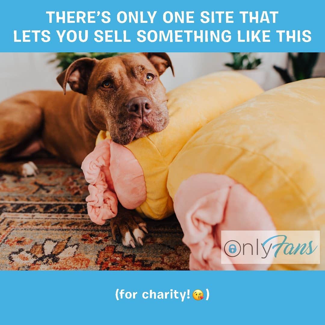 BarkBoxさんのインスタグラム写真 - (BarkBoxInstagram)「THE CHARITY EVENT LITERALLY NO ONE ASKED FOR ✨ ONE YEAR AGO we released the Pigs in a Blanket toy and the internet REALLY LIKED THEM I GUESS. So, for their anniversary we made an XXL BIG HONKIN PIGS IN A BLANKET TOY to raise money for charity!⁠ ⁠ But um... we did not expect them to look... *quite* like this.⁠ ⁠ We asked a photographer to take pictures of them and… I can honestly say I did not expect the milk bath.⁠ ⁠ WOULD YOU LIKE ONE OF OUR SWEET, INNOCENT SNACK-INSPIRED TOYS? WELL, they're too spicy for @barkshop, so we had to list them... on a very different site...⁠ ⁠ Come be our only fans! Buy a big ol pig in a blanket! For the fun price of donating to a dog charity of your choice!⁠ ⁠ Link in bio for more info!⁠ ⁠ #barkboxday ⁠」11月12日 2時56分 - barkbox