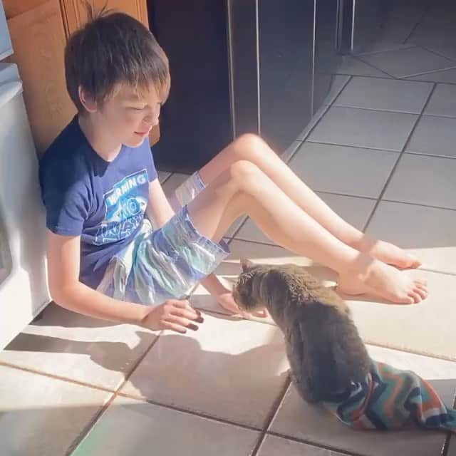 The Cats Of Instagramのインスタグラム：「#Repost • @triumphant_teagan Purrmaids need love too.」