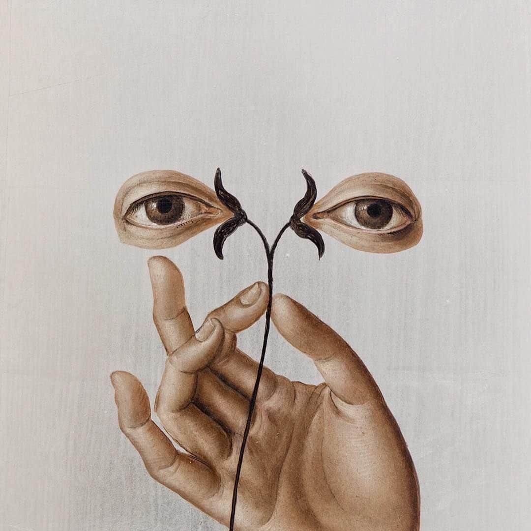 フラヴィア・ルチーニのインスタグラム：「👁🌾👁」