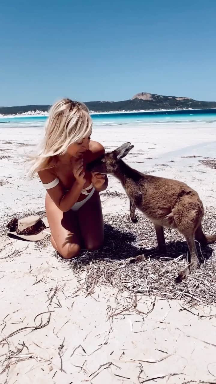 アギーのインスタグラム
