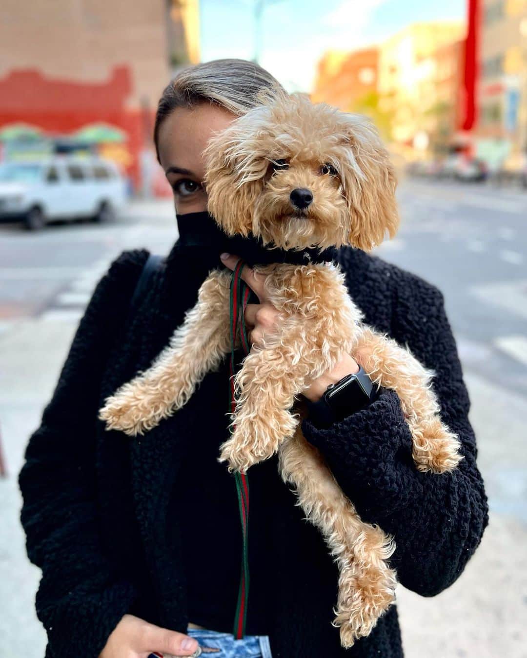 The Dogistさんのインスタグラム写真 - (The DogistInstagram)「Nugget, Toy Poodle (6 m/o), 2nd & Ave B, New York, NY • “The only time he barks is when he looks at himself in the mirror. His birthday is on 4/20.” #ShotOniPhone 12 Pro Max」11月12日 4時52分 - thedogist