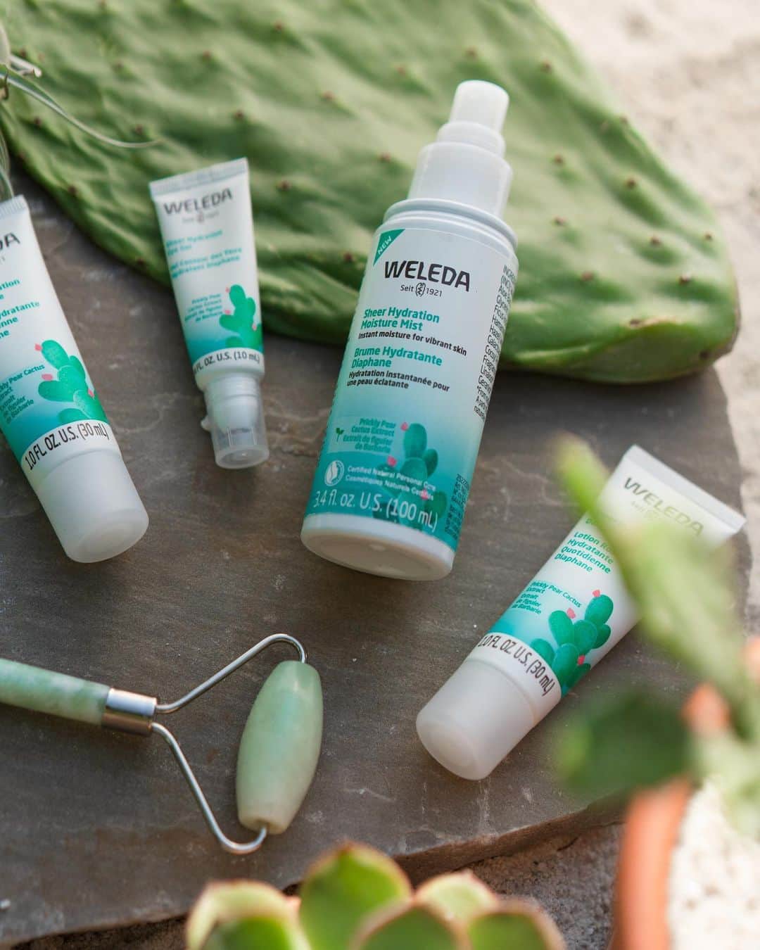 Weledaのインスタグラム：「Derived from the dry deserts of Mexico, the prickly pear cactus holds the secret to all day hydration! 🌵 This water storing miracle of moisture contains polysaccharides, a water-binding property that allows the cactus to retain moisture even in the driest of climates. Our new Sheer Hydration Collection activates your skin's natural ability to store and retain moisture all day long! #WeledaSkin」