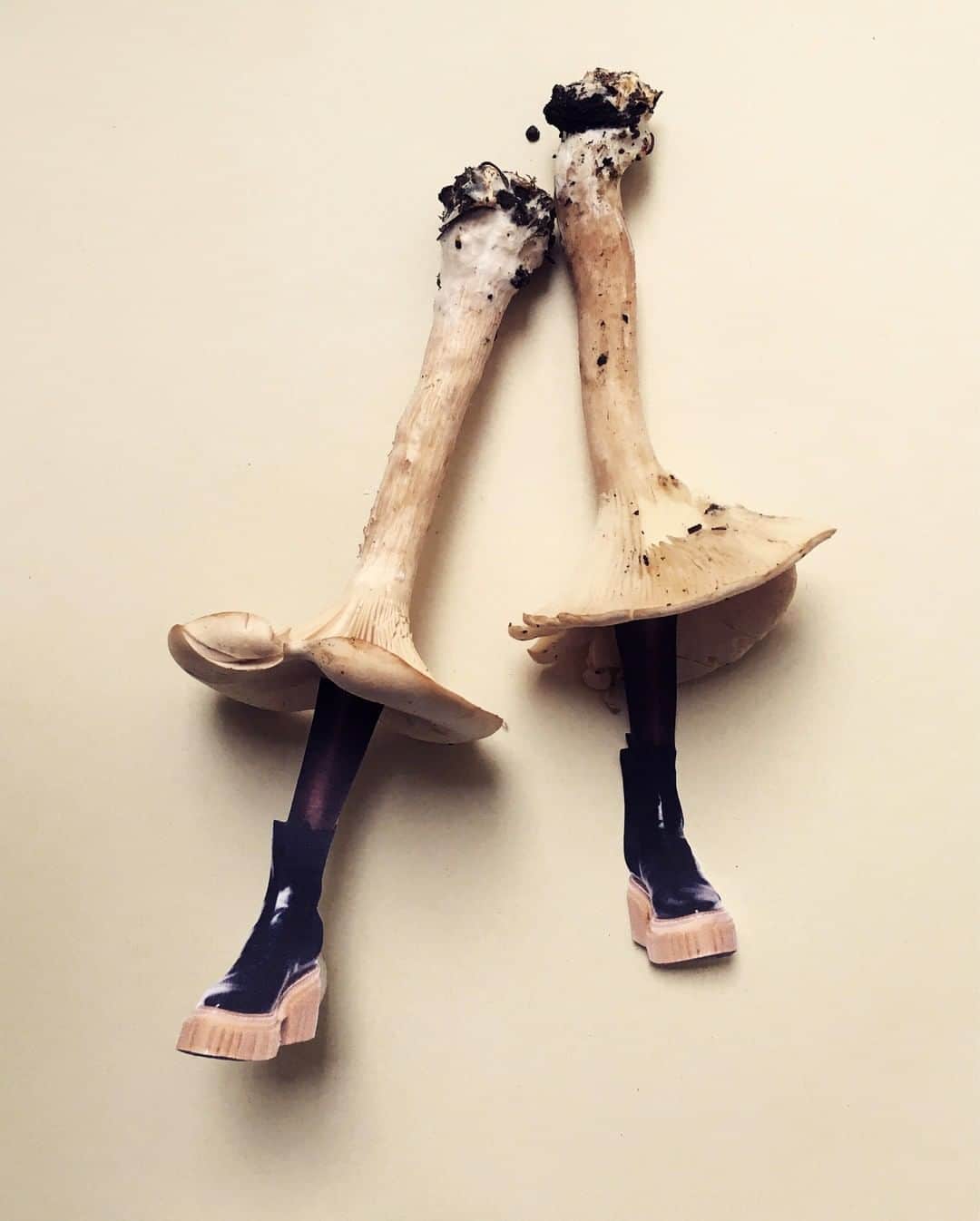 ステラ・マッカートニーさんのインスタグラム写真 - (ステラ・マッカートニーInstagram)「Putting the ‘fun’ into fungi, our vegan, cruelty-free Emilie boots are collaged in harmony with nature. British artist Martha Haversham (@smallditch) celebrates the relationship between Mother Earth and our creations; sustainability with a smile. ⁣ ⁣ Explore our Runway Collection in-store and online (link in bio).⁣ ⁣ #StellaMcCartney」11月12日 5時24分 - stellamccartney
