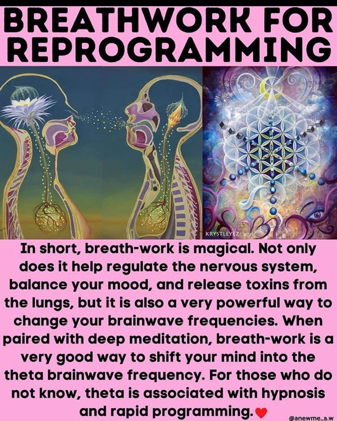 アナリン・マッコードのインスタグラム：「THIS ☝️ via @evolvingknowledge - @iceman_hof offers FREE Breathwork guidance on his WIM HOF METHOD app」