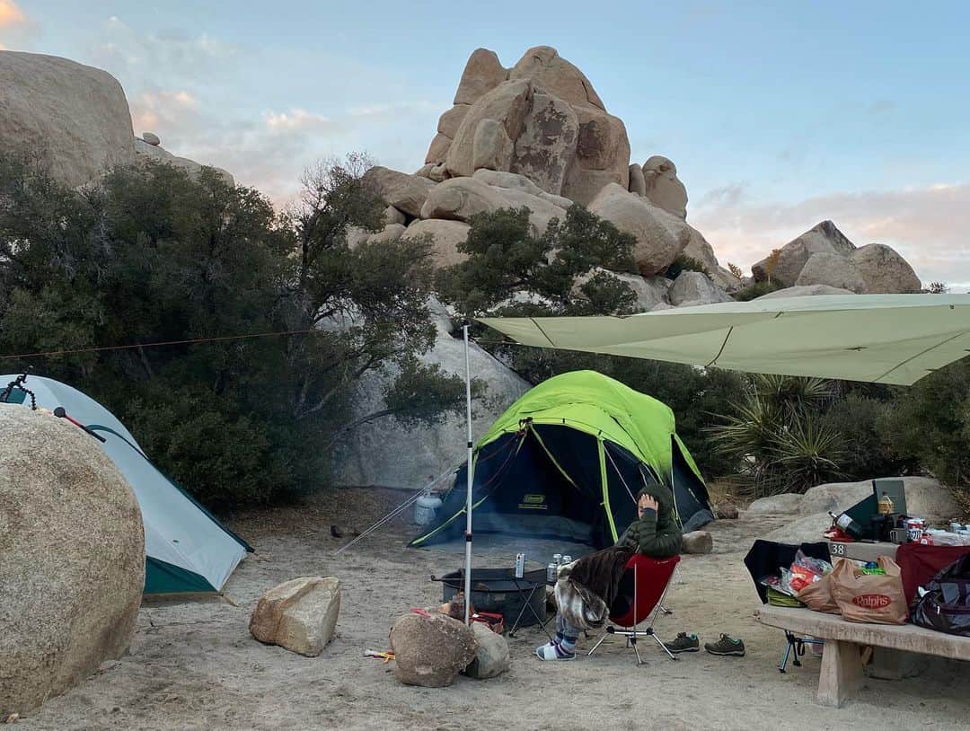 イリー・リーさんのインスタグラム写真 - (イリー・リーInstagram)「#josuatreenationalpark #camping #friends」11月12日 5時57分 - ilheelee