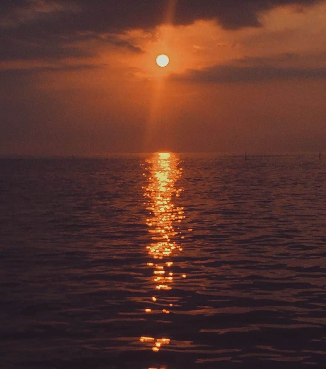 のインスタグラム：「Favourite colours to look at 😍」