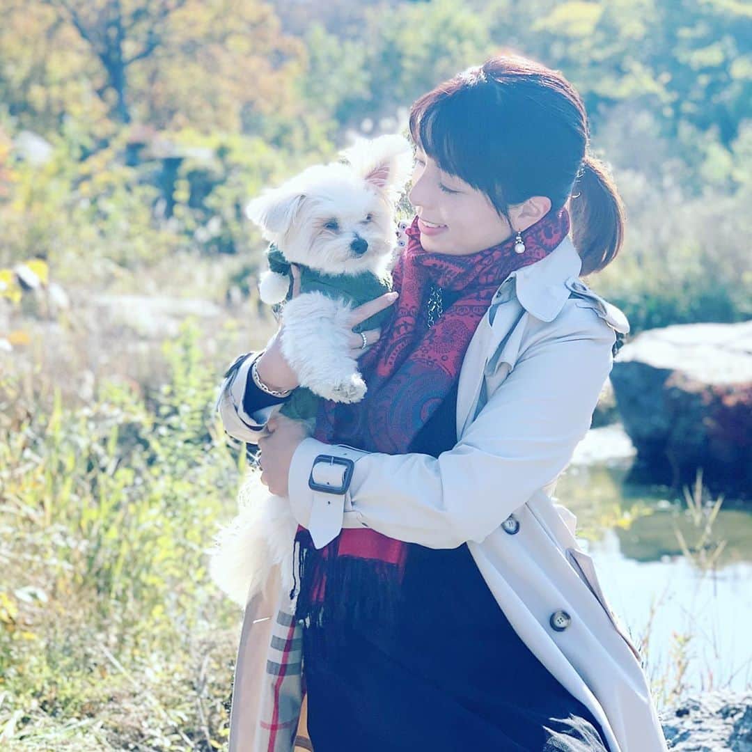 チャン・リーメイさんのインスタグラム写真 - (チャン・リーメイInstagram)「美しい秋の日。 ✴︎ Shining day 🍁🍁🍁 ✴︎ ☺️☺️☺️ ✴︎ 秋の長瀞 ✴︎ いと美しい１日✨ ✴︎ ✴︎ #nagatoro #iwadatami #autumndays #愛犬とお出かけ #長瀞紅葉  #わんこと長瀞 #burberrytrench」11月12日 16時06分 - limeichiang