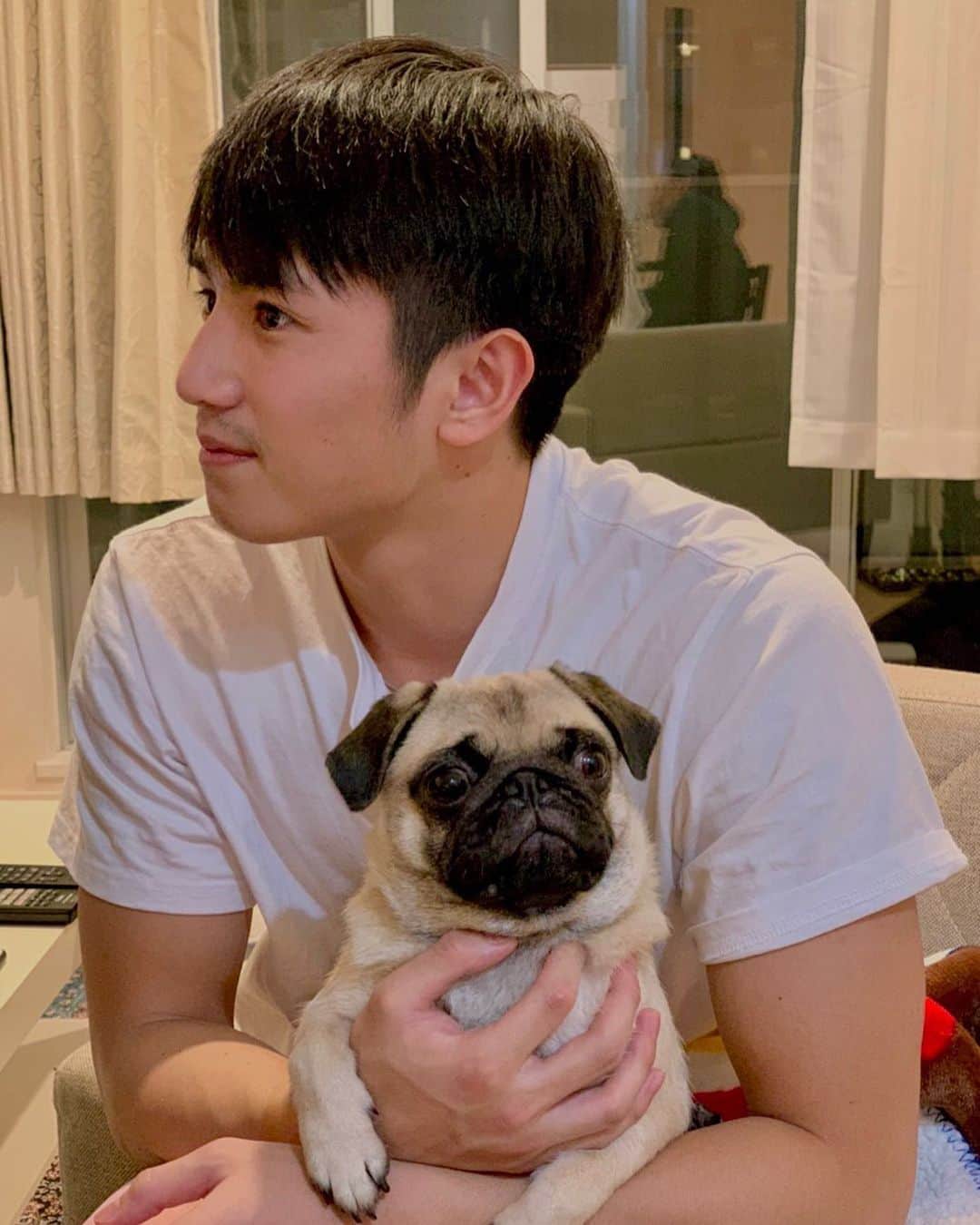 のインスタグラム：「おはぎ🐶が遊びにきてくれました〜😎 #pug #パグ　#犬　#🐶」