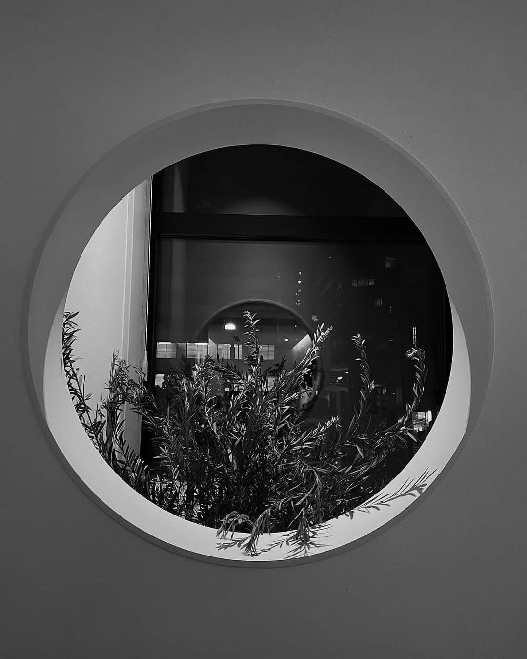 斎藤有沙のグルメインスタ