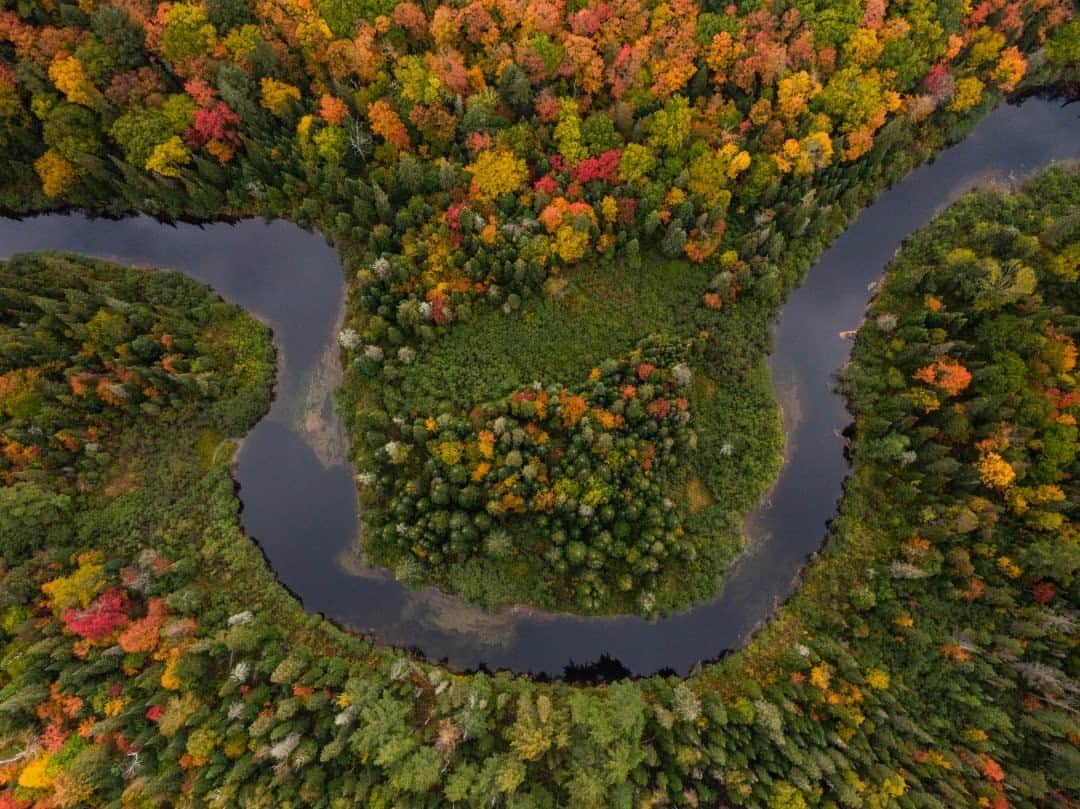 National Geographic Travelさんのインスタグラム写真 - (National Geographic TravelInstagram)「Photo by Spencer Millsap @Spono / The fall colors do not disappoint above Gateway Creek along the Oxtongue River, which leads into the mighty Algonquin Provincial Park in Ontario, Canada. The park itself, at nearly 3,000 square miles (7,770 square kilometers) in size, is a must-see for those looking for either a remote backcountry escape or just a drive through the incredible fall colors. #AlgonquinProvincialPark #Ontario #Canada.」11月12日 16時39分 - natgeotravel