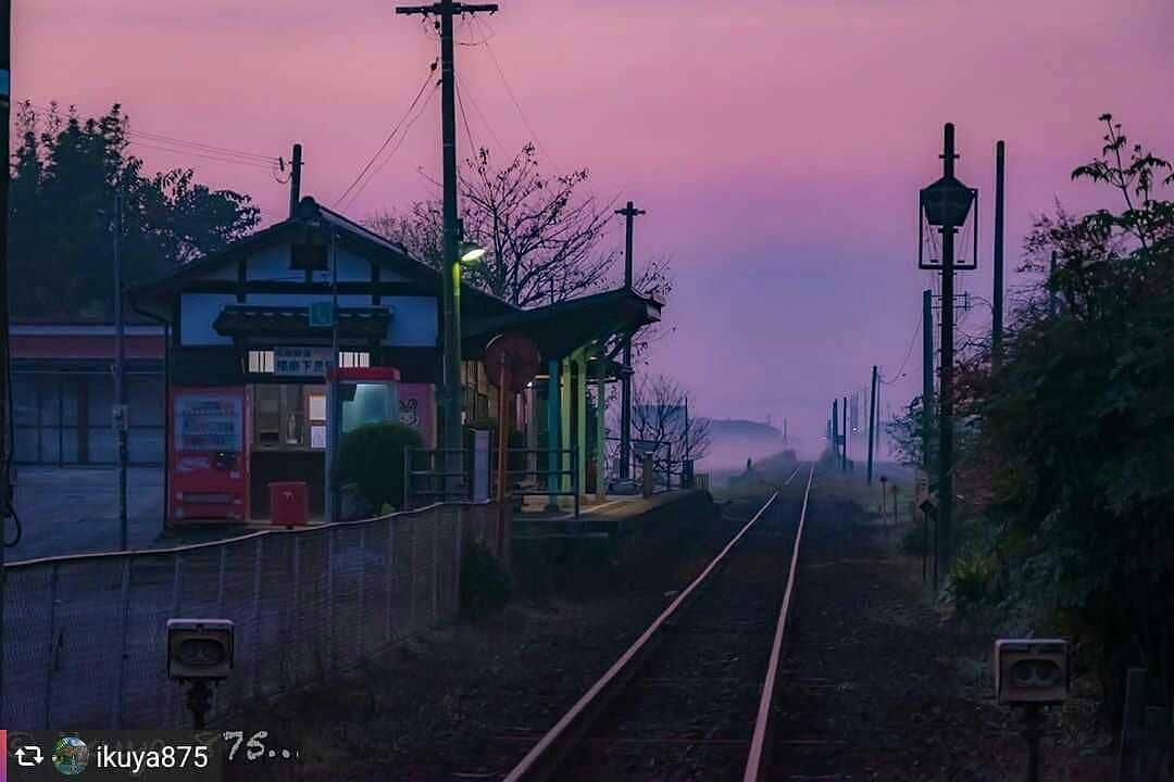兵庫県さんのインスタグラム写真 - (兵庫県Instagram)「兵庫県公式インスタグラム『love_hyogo』です。  love_hyogoでは皆さんが#lovehyogo のハッシュタグを付けて投稿していただいた写真を紹介をさせていただきます。  本日のピックアップは @ikuya 875さんのお写真です👑 ハッシュタグをつけての投稿ありがとうございます🙏  写真は、加西市にある『北条鉄道 播磨下里駅』での一枚です📷✨  朝もやの残る夜明け前…静かに列車を待つ、無人の古い木造駅舎🏡🚊ジブリ映画の中へ迷い混んでしまったよう…💜心惹かれる風景ですね🌱  この駅舎は大正4年に建てられた歴史ある木造駅舎で、2014年4月には「国登録有形文化財」に登録されました。普段は無人駅ですがローカル線活性化と無人駅荒廃防止のため、2名のボランティア駅長さんが毎月2回、駅舎内で教室(お絵かき会など)を行っているそうです😊また鉄道ファン集いの場としても地域住民の方に活用されています🚎🍁  兵庫にまつわる投稿は#lovehyogo のハッシュタグをお願いします👈  −−−−−−−−−−−−−−−−−−−−−−−−−−−−−−−−−−−−−−−−−−−−−−−−−−−−−−−− 兵庫県では、新型コロナウイルス感染拡大を予防する『ひょうごスタイル』（📍3密（密閉、密集、密接）の回避📍身体的距離の確保📍マスクの着用等）の推進のご協力をお願いしています。  #兵庫県#兵庫#lovehyogo#love_hyogo#photooftheday#followme#加西市#北条鉄道#播磨下里駅#朝もや#駅舎#下里庵#レトロ駅#自慢したい兵庫の景色」11月12日 16時34分 - love_hyogo