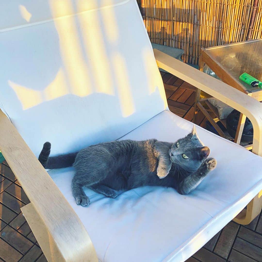 金成公信のインスタグラム：「なにそのポーズ^ ^」