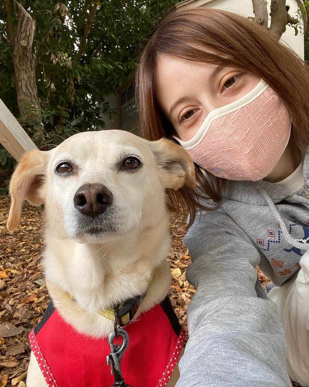 藤崎ミシェルのインスタグラム：「はっぴーているず @happytails_sagamihara @happytails_fuchu などなど 運営しながら動物の保護犬活動など多方面で仕事しとる@imamura187 さん✨と撮影しましたあ✨と言っても今村っちは私が福岡にいる頃からの長い友達でお互いなんしよるかもわからなかったんです😆でも久しぶりに不思議なつながりでまた会えて一緒にこう言った活動も応援するばい！ってなったんです☺️福岡弁が更に余計つよくなった笑笑 今村っちの愛犬は保護犬育ち❣️健康でひとなつっこいです✨レイちゃんと写真とったばい 私も今ペット関連のお仕事やガイドヘルパーもしてますが、盲導犬の事まだ全然詳しくないからもっと勉強したいなと感じました。」