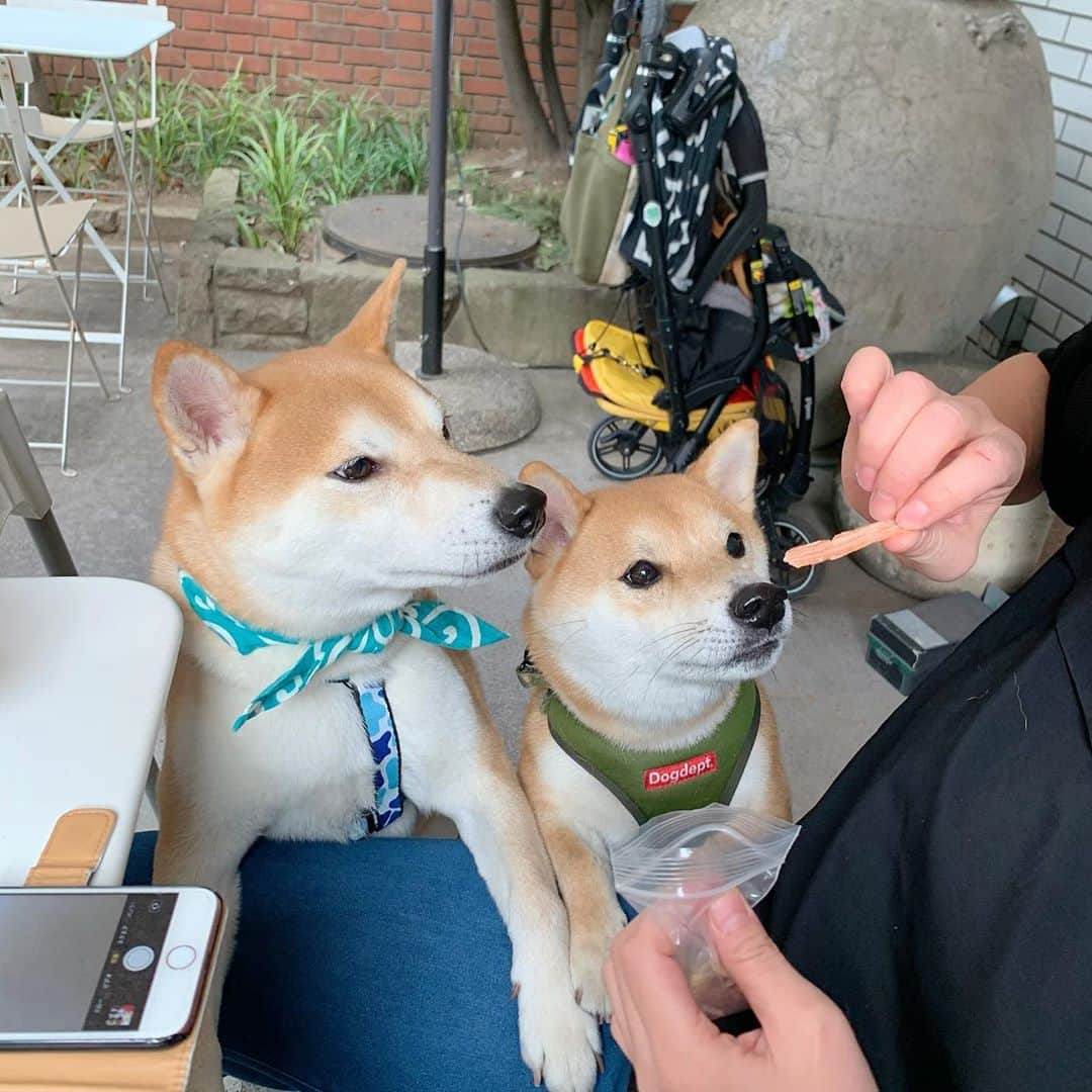 大山加奈のグルメインスタ