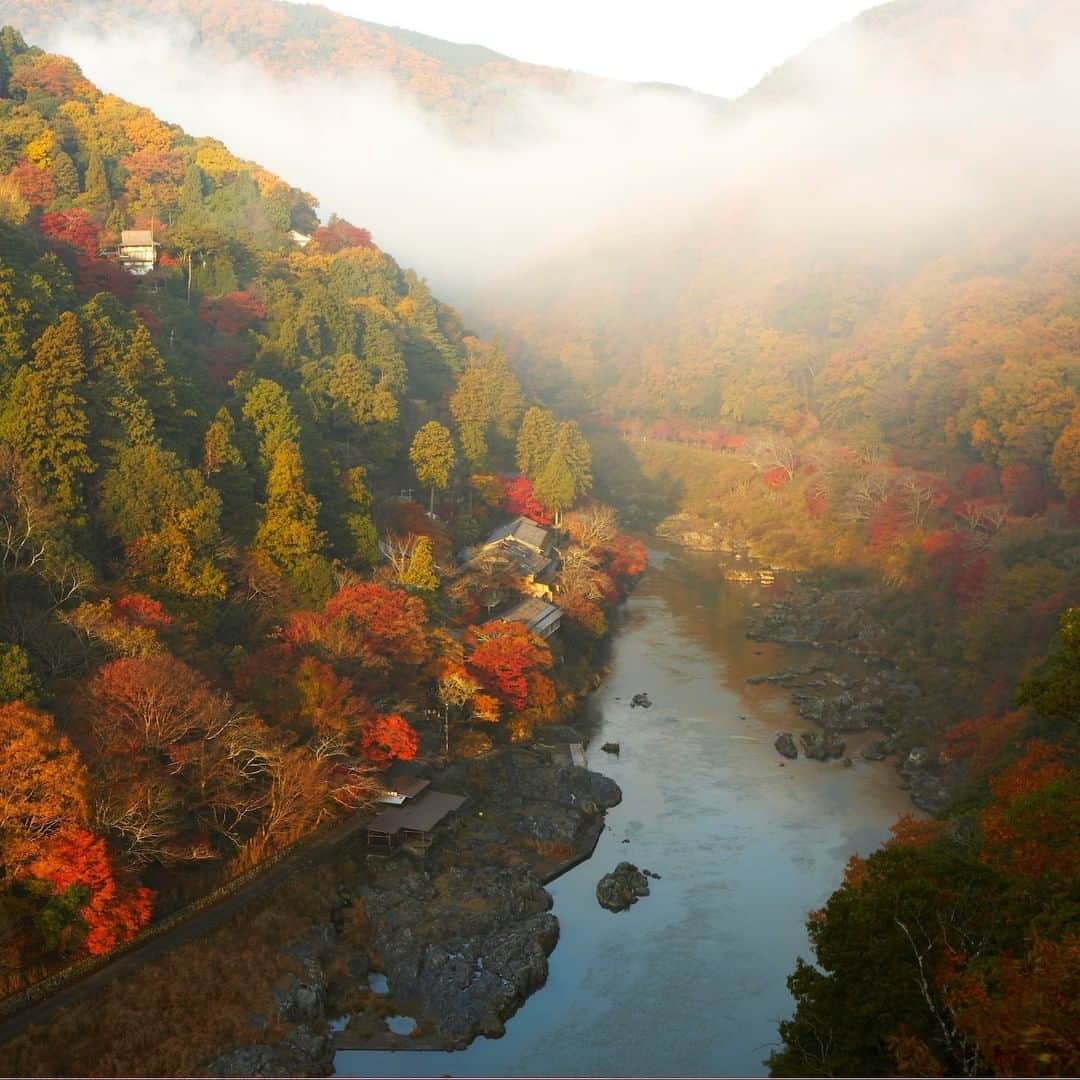 星野リゾートさんのインスタグラム写真 - (星野リゾートInstagram)「【1日1組限定。朝日に輝く嵐山の紅葉を独り占め】  Limited to one group per day. Colorful leaves of Arashiyama shining in the morning sun to be kept to yourself.  京都府・嵐山にある全室リバービューの旅館「星のや京都」は、2020年11月20日～12月5日の期間、一日一組限定の「朝のもみじ舟」を開催しています。 完成したばかりの専用の屋形舟を貸し切って、目の前を流れる大堰川(おおいがわ)を進みながら、朝日に輝く小倉山や嵐山の紅葉を鑑賞するアクティビティです。  屋形舟の中では鳥のさえずりに耳を澄ませながら、季節をかたどった和菓子でお盆の上に情景を描く盆景菓子を、抹茶とともに味わいます。錦の絹織物のような景色のなか行う朝の静かな紅葉狩りは、奥嵐山に宿泊するからこそできる体験です。  #HoshinoResorts #星野リゾート #hoshinoya #星のや #hoshinoyaKyoto #星のや京都 #Kyoto #京都 #京都府 #嵐山 #京都旅行 #KyotoTrip #Kyotohotel #travelJapan #ig_Japan  #JapanTravel #紅葉 #屋形船」11月12日 17時20分 - hoshinoresorts.official