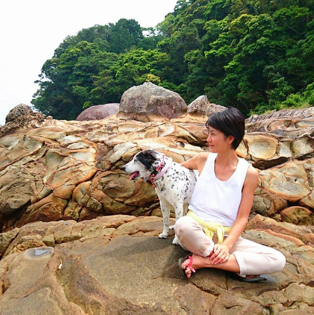 前田文香のインスタグラム：「老犬のマークと走り回った海へ 行ってきたよ🐚  この浜辺にくると　やっぱり思い出す  ルル&エルを見てまた　思い出す🐶」