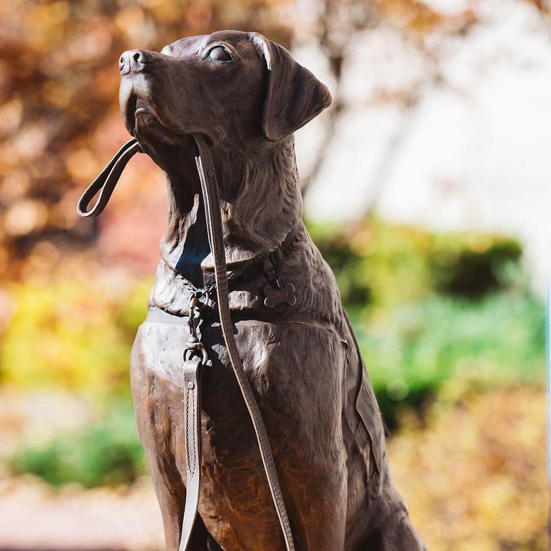 E! Onlineさんのインスタグラム写真 - (E! OnlineInstagram)「A good boy indeed. ❤️ George H.W. Bush's service dog, Sully, was presented with a bronze statue honoring not only his contributions, but the incredible work of all service dogs. (📷: @jimmisaycheez/@americasvetdogs/@susanbahary)」11月12日 8時31分 - enews