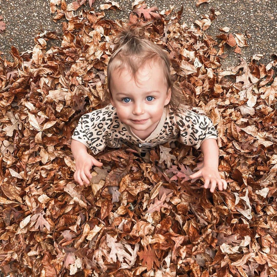 カーリー・ワデルさんのインスタグラム写真 - (カーリー・ワデルInstagram)「Wanna say something cute and fall like 🍂🍁but all I can think about is “oh God, how many bugs are in this leaf pile???” 😳」11月12日 8時58分 - carlywad