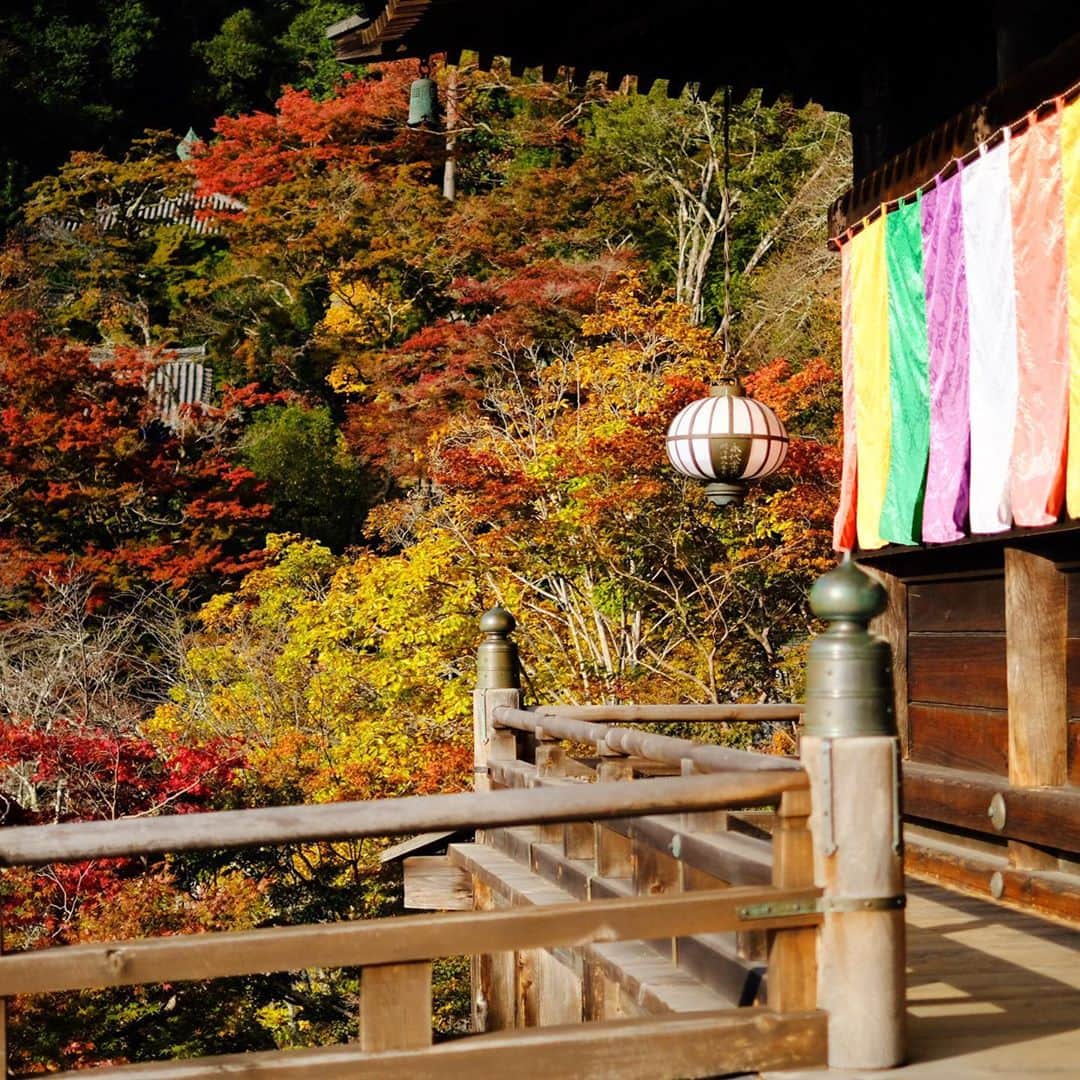 奈良 長谷寺 / nara hasederaのグルメインスタ