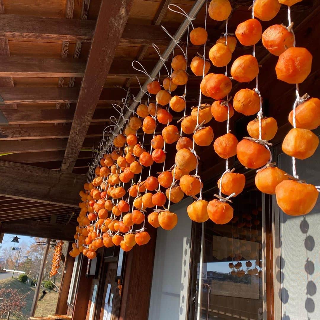 早見優さんのインスタグラム写真 - (早見優Instagram)「Season for making dried persimmons.  干し柿  #素敵な風景 #japan」11月12日 9時17分 - yuyuhayami