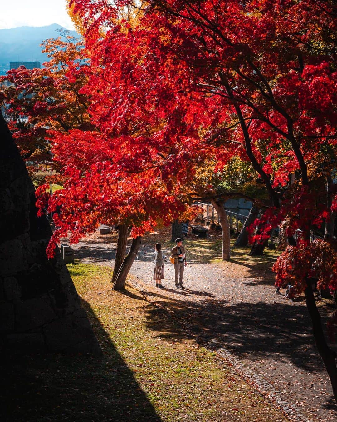 Joshのインスタグラム：「- What's it like? . . . . #japan #japanawaits #autumn #紅葉」
