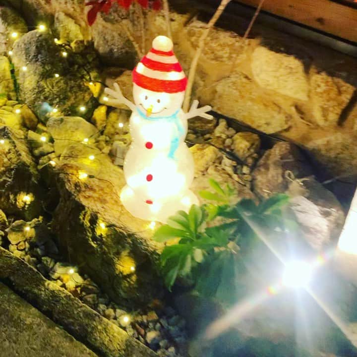 のインスタグラム：「今年もイルミネーションの季節がやってきましたね😆 我が家は昨夜、点灯式やりました♫ ちちにサプライズしたのに　反応が薄い！！ つまらん奴め😤 ライトはもうちょっと増やす予定です💕 余談ですが、LEDライトって故障しやすいわぁ。 昔の電球の方が強かった！！改善希望！！！ ☆ #イルミネーション#防犯対策 #クリスマスインテリア#イエナリエ #おうち時間#ガーデンライト#キャンディーケーン」