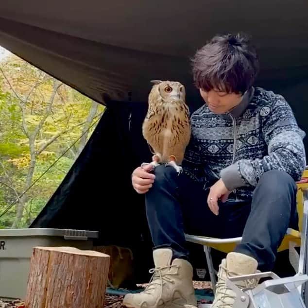 GEN3 Owlのインスタグラム：「また一緒に遊びに来ようね。 I wanna go out together again. #owl #owlgaru #camp #camphack取材 #campzine掲載希望」