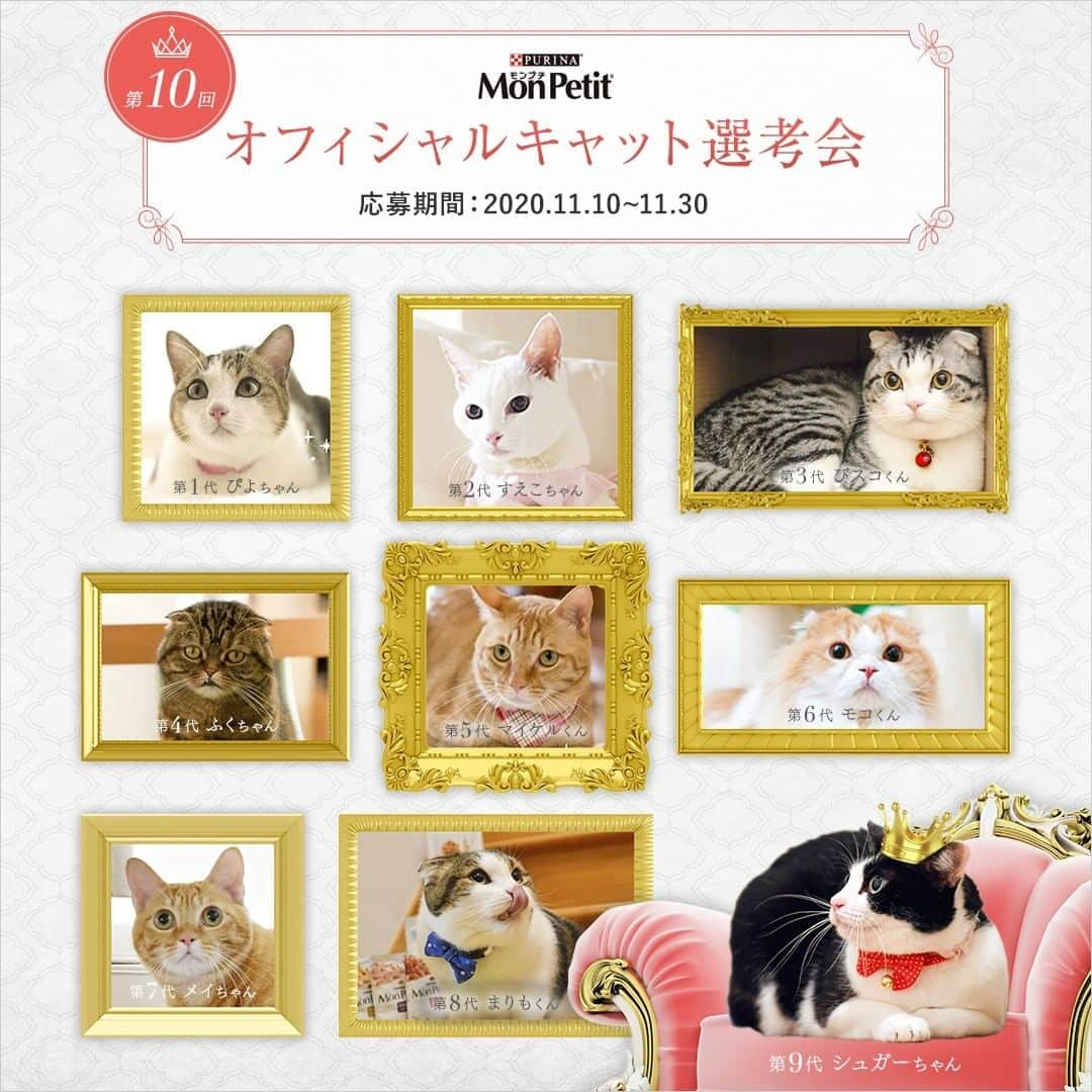 Purina Mon Petit Japanのインスタグラム：「／ ✨11月10日スタート 応募してね✨ ＼ 第10回　#モンプチオフィシャルキャット選考会　開催！ #モンプチ愛 なネコちゃんの写真大募集❣ � 上位3賞の栄冠をつかんだネコちゃんには #モンプチ 製品1年分をプレゼント🎁✨ 参加賞もあります♪ 応募は～11/30まで ⬇ 詳細はこちら https://nestle.jp/brand/monpetit/campaign/officialcats/」