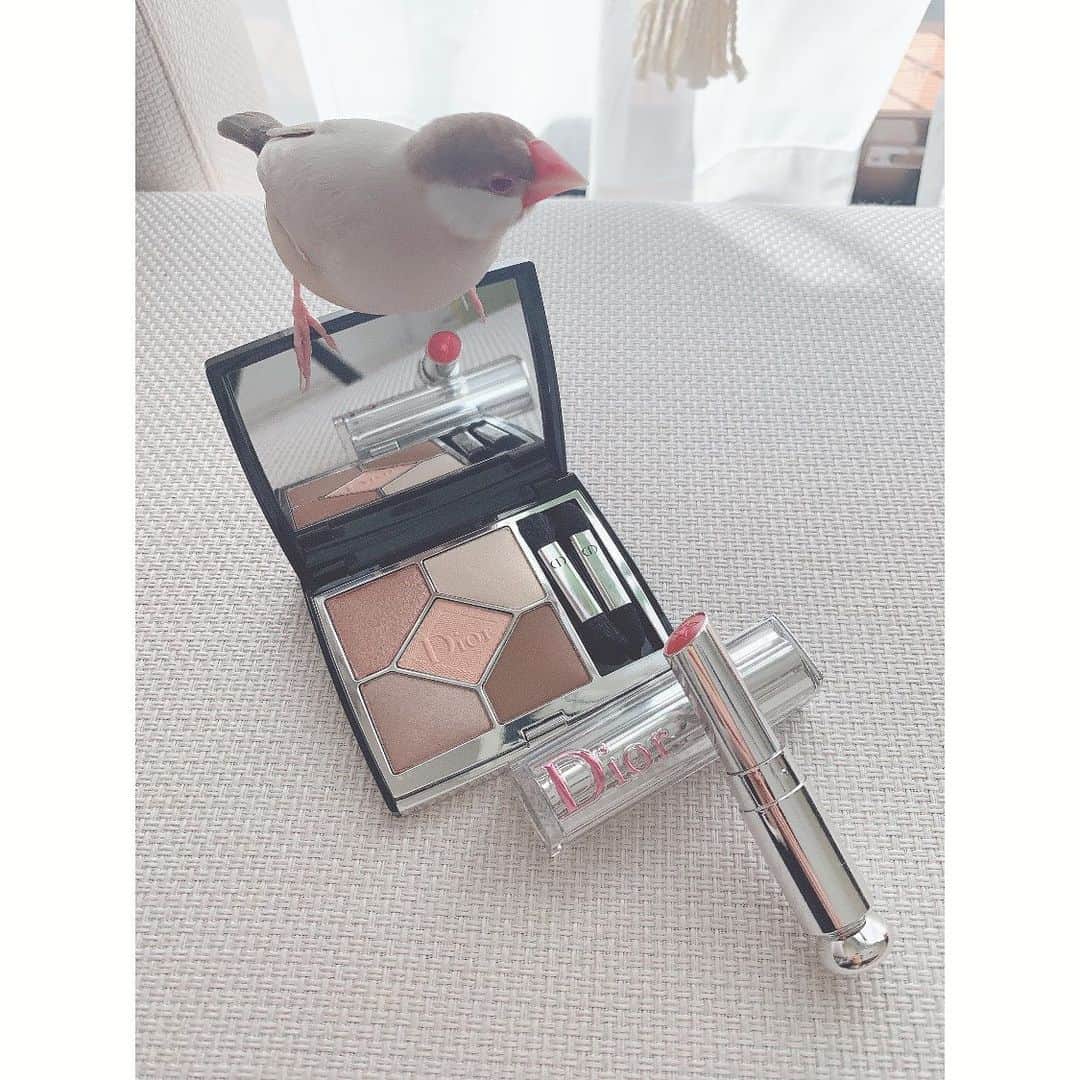 長谷川かすみのインスタグラム：「いただいた #dior のアイシャドウが万能すぎて毎日使っています😌 ありがとうございます🙇‍♀️ マヨも気に入ったみたい🥰」