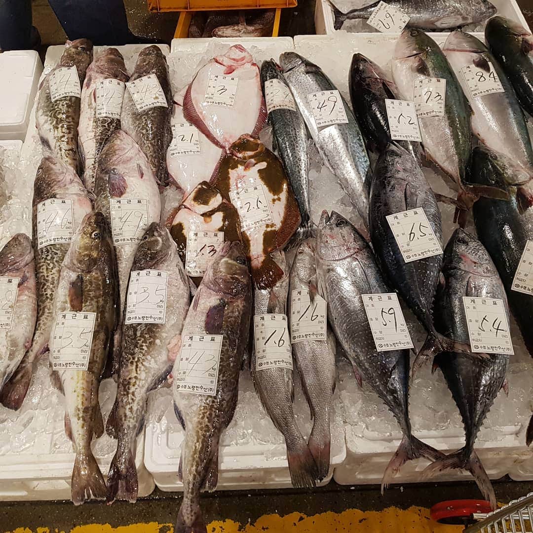 コ・ミョンファンさんのインスタグラム写真 - (コ・ミョンファンInstagram)「치열하게 장보기! . 노량진 수산시장  새벽 3시  홍게 8마리 1,8000원- 실화냐?  살아서 움직인다. . 잠을 조금 아끼면 싸게 살 수 있다^^  #치열하게시리즈 #홍게 #노량진수산시장」11月12日 10時48分 - gommming
