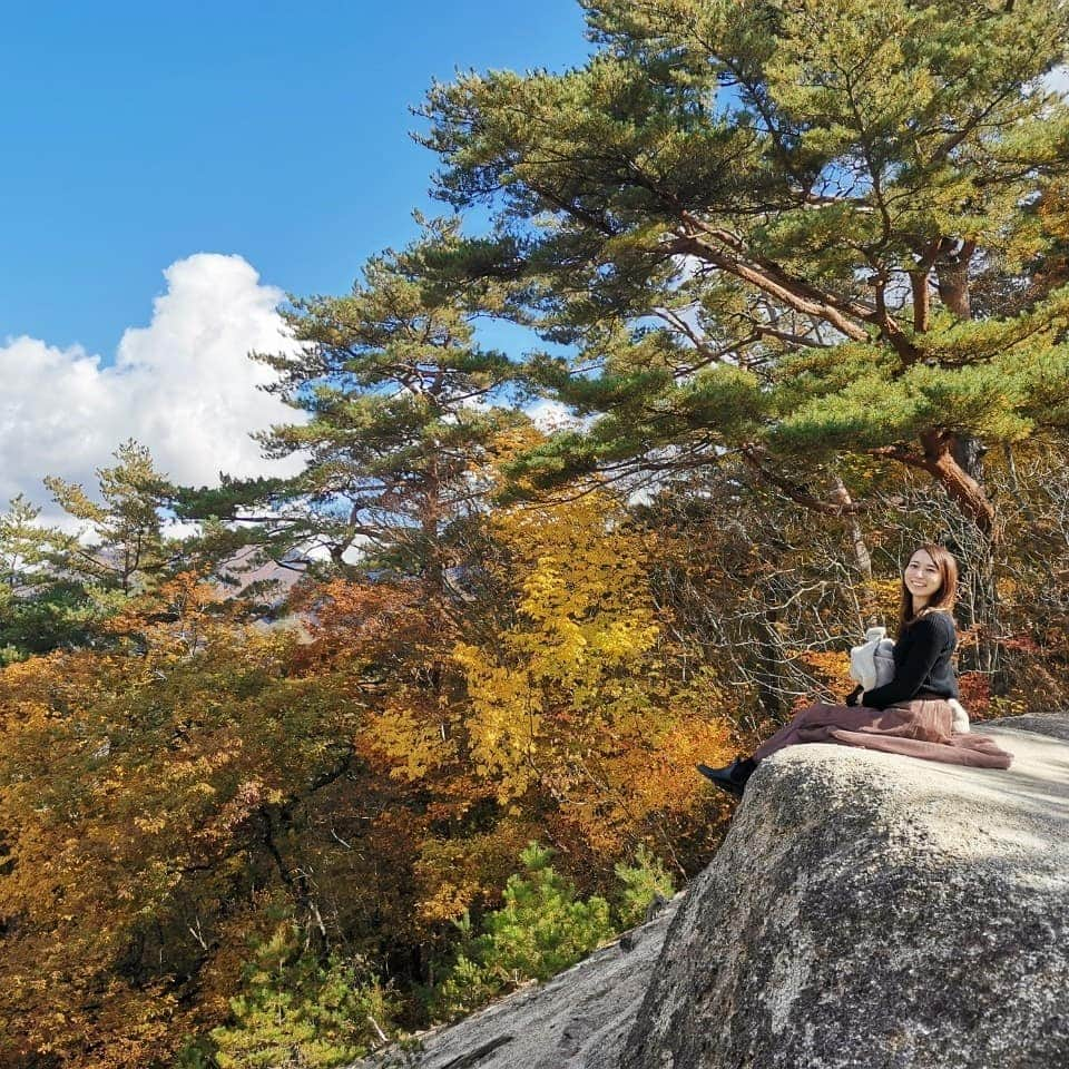 岸田彩加のインスタグラム：「#gotoトラベル で行った日帰り#紅葉 の旅🍁 ・ 2時間以上#山登り ？#トレッキング ？して、体は疲れたけど気分は最高でした✨クーポンで#信玄餅 買いました✨ ・ #山梨 #甲府 #武田信玄 #日帰り旅行 #紅葉狩り #昇仙峡 #アナウンサー #フリーアナウンサー #trip」