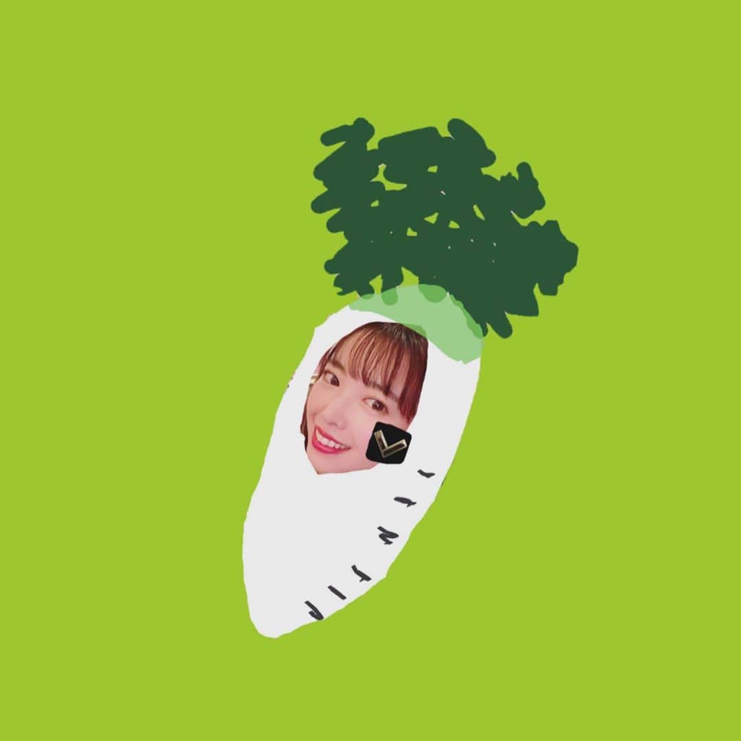 のインスタグラム：「#新米ソムリエなかじまさん (野菜ソムリエです👩‍🌾)   なかじま家のお野菜も(父のガチ畑の方)収穫時期に入っております！ 　 その中から『大根』をピックアップ☝️   🗣大根に含まれている消化酵素は胃もたれや胸焼けに効果があると言われていますが、熱に弱い為、効果を期待するなら生で！出来れば皮ごとすり下ろすのが良いと言われています。 　 🗣大根は葉を成長させる為に根(白い部分)から栄養を送っているので、栄養は葉にたくさん集まっています。 βカロテン、ビタミンC、葉酸。など捨てるにはもったいない成分がたくさん！ 買ってきたらすぐに葉をざくざく切って油で炒めちゃうのがおすすめです。 　 🗣選び方 ・葉がみずみずしいもの ・皮にツヤとハリがありずっしりしているもの ・ひげ根の穴があまり深くないもの(※ひげ根の穴が一直線にならんでいるものは辛みが少ないと言われています)   🗣保存方法 ・とりあえずすぐに根と葉を分ける ・葉はしなびやすいので何かしらで調理しちゃう ・根の部分は3頭分して(部位によって甘味や辛味が違うので分けて調理するのが面白い)キッチンペーパーに包み袋にいれて立てて保存します。   🗣おまけ 写真の大根は売り切れなかったものらしい。 煮物にしていただきました。 栄養面を気にするとあれれ？🙄だけど、大根の煮物っておいしいよね🥺💕笑 　 #野菜ソムリエ #大根 #農家の娘」