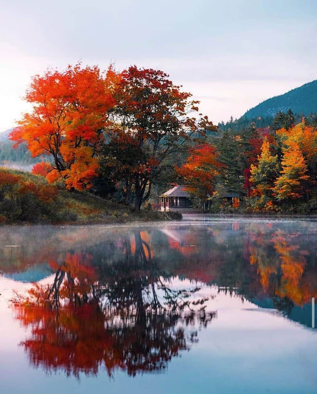 BEAUTIFUL DESTINATIONSさんのインスタグラム写真 - (BEAUTIFUL DESTINATIONSInstagram)「Just like a painting. 🎨 Immerse yourself in the brilliant colors of autumn taken in this tranquil spot in Acadia National Park. Sometimes, all you need to do is to spend time alone in nature—where you can get your much-needed quiet contemplation. 🙏🏼  What incredible parks have you discovered during your travels? 🍂  📸 @mblockk 📍 Acadia National Park, Maine, USA」11月12日 11時02分 - beautifuldestinations