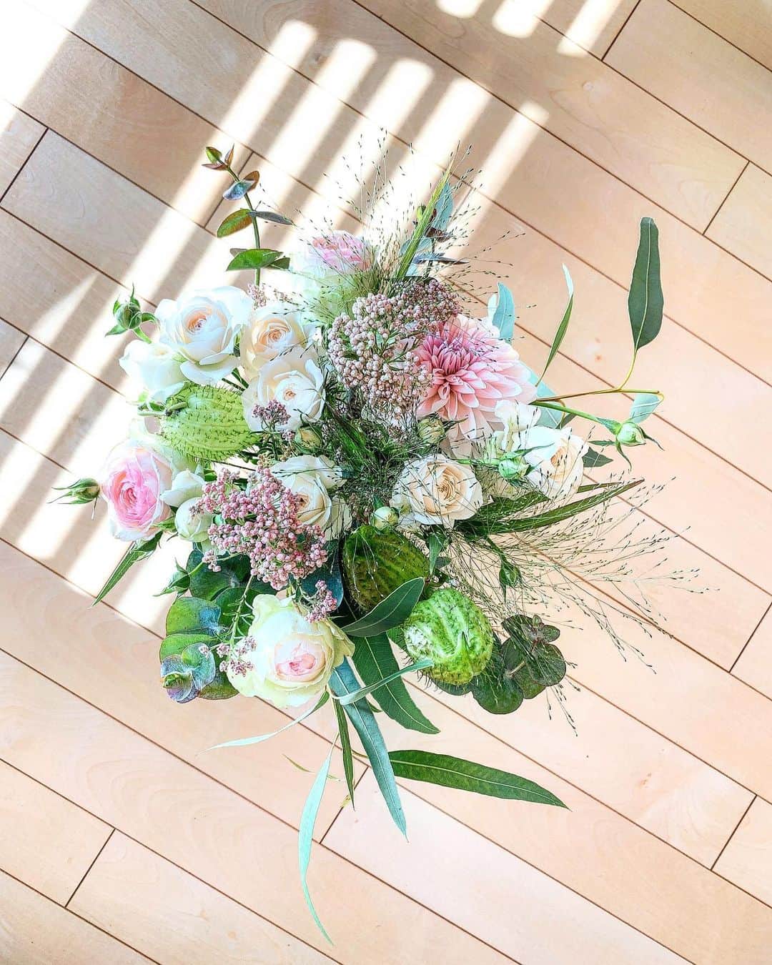 川島幸美さんのインスタグラム写真 - (川島幸美Instagram)「朝日に輝くお花見るたび、 幸せな気持ちに✨✨ ありがとう🌹🌹🌹」11月12日 11時16分 - yukimikawashima