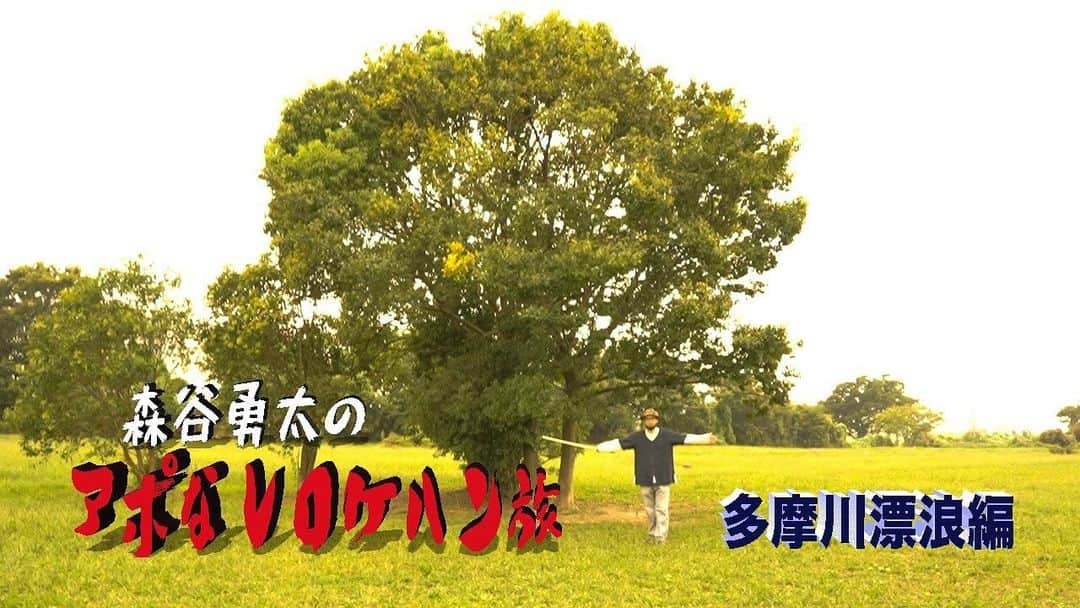 森谷勇太さんのインスタグラム写真 - (森谷勇太Instagram)「本日っ！！！19:00に公開しまっす♪ 『森谷勇太【アポなしロケハン旅】多摩川放浪編』ほんのチョ………ットお時間できた時には是非w 『もりやゆうたの勇ましく太いチャンネル』チャンネル登録なんてのをしていただけると嬉しぃ………ヨロシクお願い申し上げます🙏 https://youtu.be/bwq8B_8u1uU  #もりやゆうたの勇ましく太いチャンネル #いさふと #いさふとチャンネル #チャンネル登録ヨロシクお願い申し上げます #アポなしロケハン旅 #多摩川放浪編 #森谷勇太」11月12日 11時08分 - yutamoriya