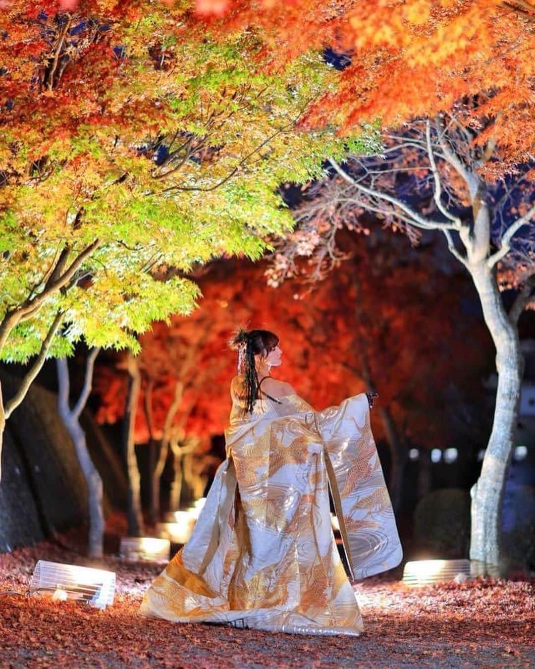 舘林佳史のインスタグラム：「🍁紅葉姫撮影☺️✨ ﻿  ༚┈❁┈༚༝༝༚┈❁┈༚༝༝༚┈❁┈༚༝༝༚┈❁┈ ༚༝༝༚┈❁┈﻿ ﻿ 誰でも物語の主人公になれる﻿ ﻿ をキャッチコピーにドラマや映画﻿ 物語のワンシーンの様なDramaticStoryPhot﻿ と言う名前で活動作品作りをしています。﻿ ﻿ 大好評のドラマティックフォトのご依頼は﻿ このクオリティーで30000円〜(ほぼ諸経費)﻿ で受け賜わっています)^o^( ﻿ ﻿ 素敵な作品を一緒に作りたい！﻿ コラボレーションしたい 美容師・メイクアップアーティストさん ・服飾デザイナーさんクリエイターさんも随時募集中です✨﻿ ﻿ お姫様になりたい👸物語の主人公になってみませんか^ ^⁉︎﻿ ﻿ たった一枚の写真で人生が変わる‼️﻿ ﻿ ✨作品作り体験モデルに興味がある方 ドラマティックフォト依頼 撮影依頼 体験モデル募集①お名前②地域③年齢④身長⑤LINE ID⑥応募理由やお問い合わせ内容⑦最近の髪型スタイルの分かる写真をDM下さい✨📩﻿ ﻿ モデル宣材撮影 コンポジ Book作り プロフィール撮影 ブライダルフォト記念撮影 衣装レンタル 成人式 着物 ドレスロケーションフォト スチール サロンモデル撮影 写真集等撮影のご依頼何でもお気軽にお問い合わせDM下さい✨📩 ﻿ ﻿ ༚┈❁┈༚༝༝༚┈❁┈༚༝༝༚┈❁┈༚༝༝༚┈❁┈ ༚༝༝༚┈❁┈ ﻿ ﻿ #紅葉#姫#紅葉ライトアップ #CanonEOSR6 ﻿#canonr6 #ポートレート #宣材 #model#photo#カメラマン#ロケーションフォト#ロケ撮影#カメラマン#photographer#モデル募集#ポートレートモデル募集#スナップ撮影#ポートレートモデル#写真#カメラ﻿ #portrait #portrait_star #jj_allportraits #tv_soul #tv_people #phototag_peop﻿ le #rsa_portraits #portmood」
