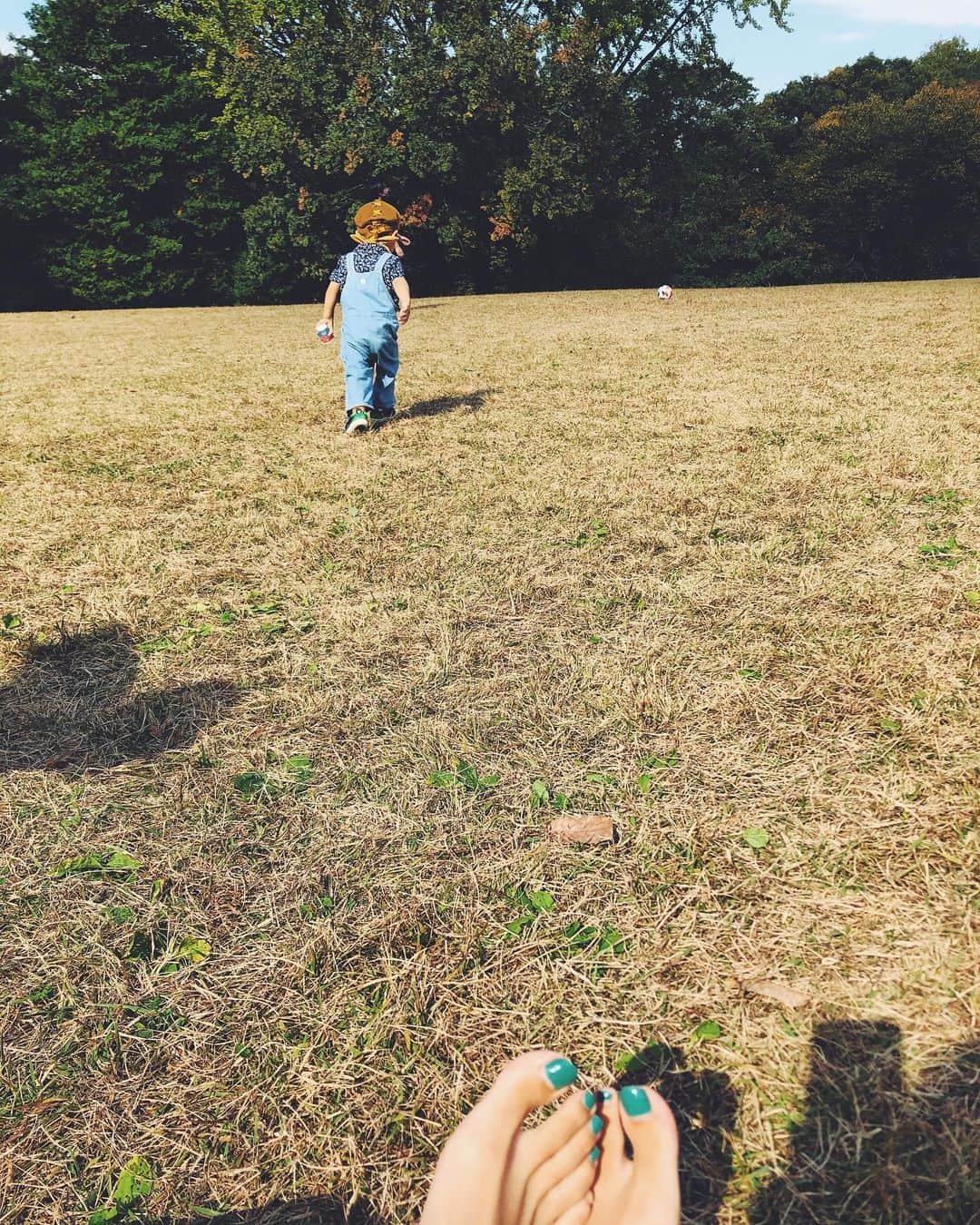 尾形沙耶香さんのインスタグラム写真 - (尾形沙耶香Instagram)「#autumnpicnic 🍁  #ピクニック」11月12日 11時51分 - sayakaogata