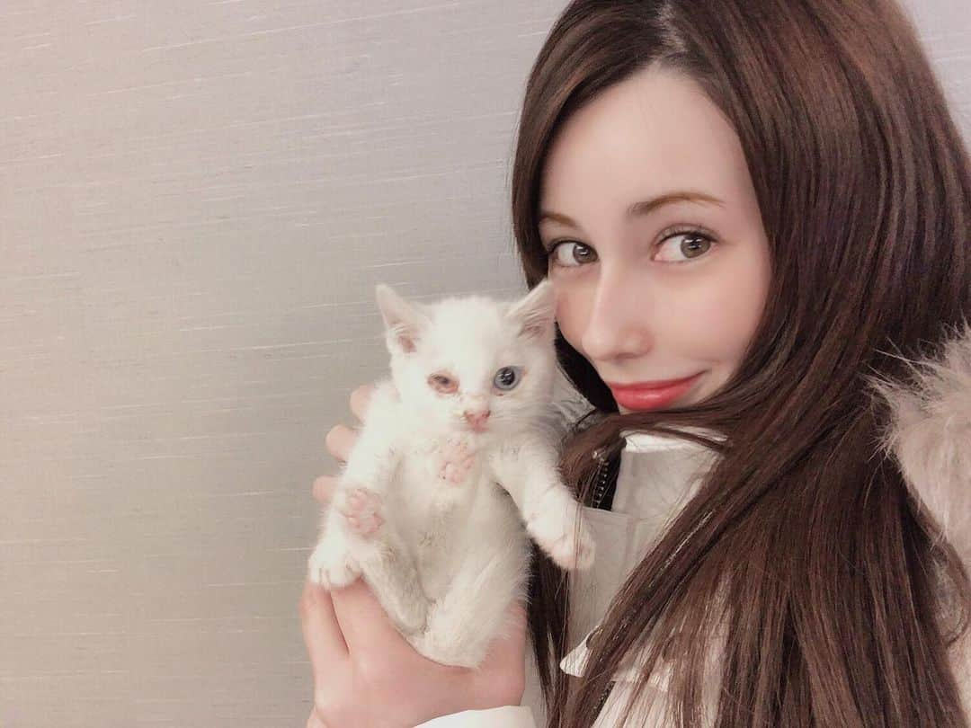 ダレノガレ明美さんのインスタグラム写真 - (ダレノガレ明美Instagram)「メイちゃんモデルかな？ ってくらいカメラ目線☺️💋」11月12日 17時36分 - darenogare.akemi