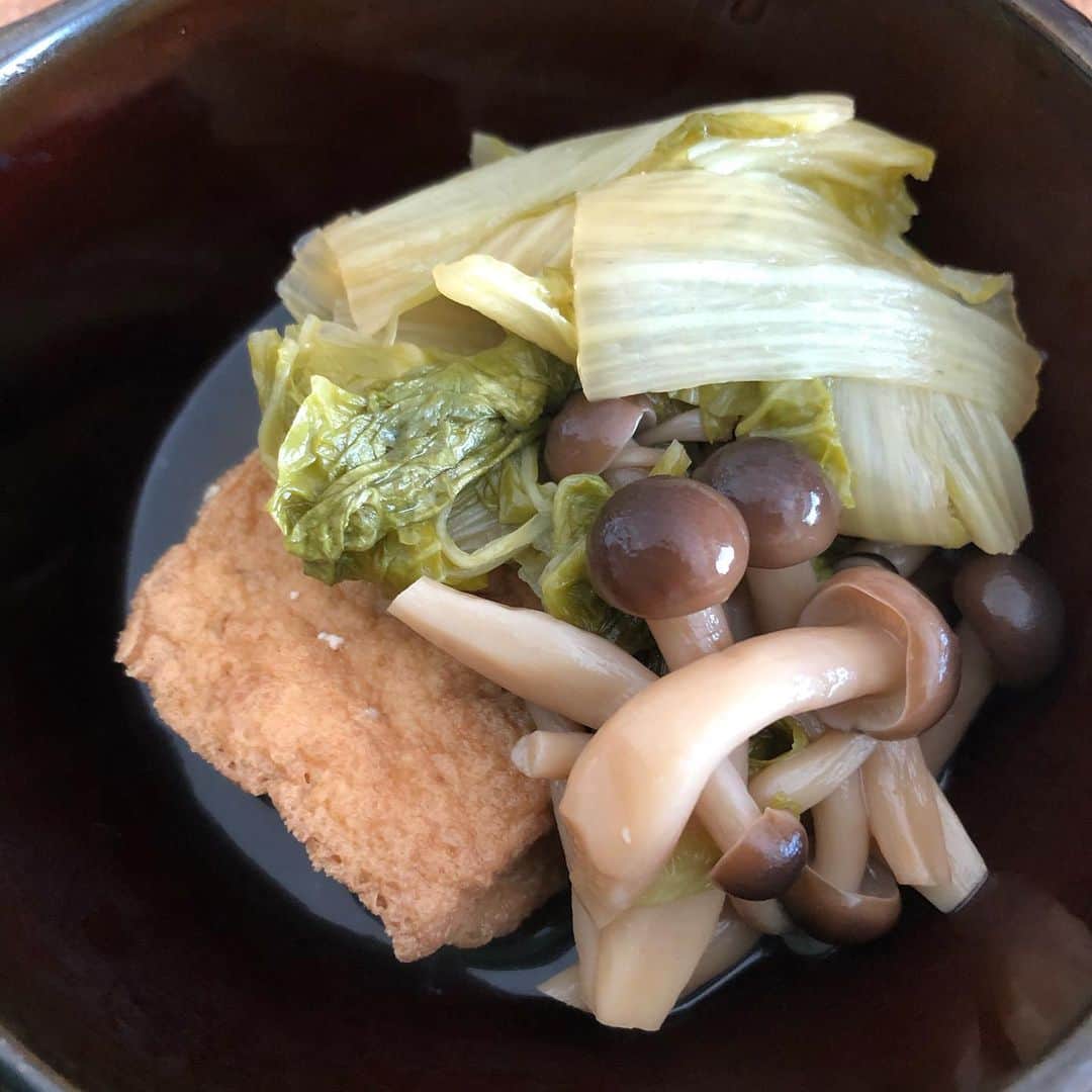 マグナム北斗さんのインスタグラム写真 - (マグナム北斗Instagram)「しろ菜と厚揚げとしめじの炊いたん。冷めても美味いんだ、これが。」11月12日 12時20分 - magnum0316