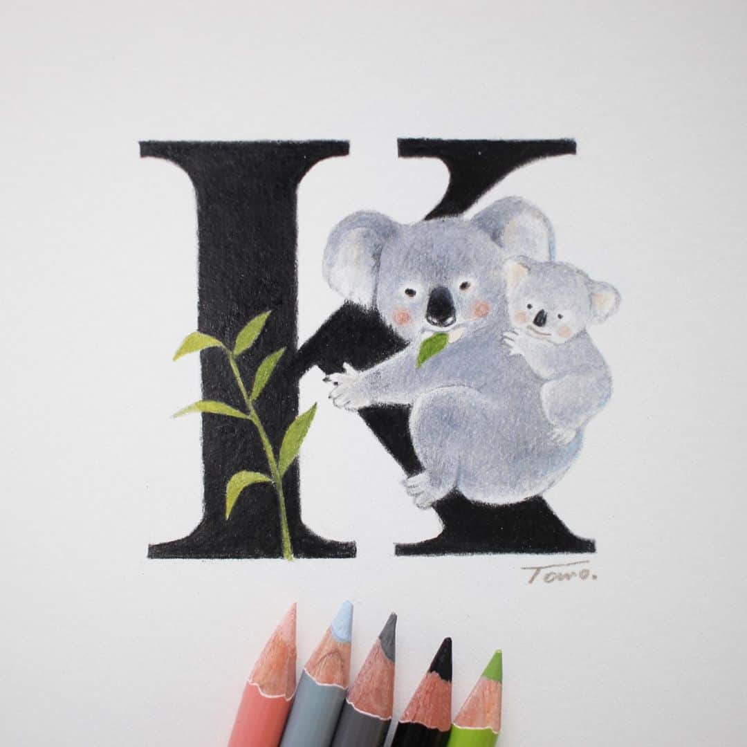 Tomoko Shintaniのインスタグラム：「Letters “K” 🐨♡ . 🙏🏻✨🇦🇺 . #letters #koala #holbeinartistscoloredpencil #karismacolorpencils」