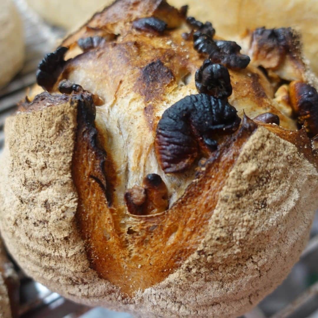 魔女菅原のグルメインスタ