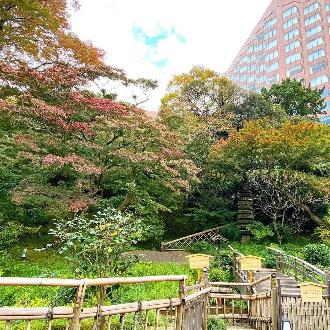 マキ・コニクソンさんのインスタグラム写真 - (マキ・コニクソンInstagram)「庭園をお散歩。🚶‍♀️ 三重塔以外は全て歩いてまわったよ！👍🏼 緑が多くてマイナスイオンを たぁくさん感じましたー！ 伝統的な日本の門構えの 料亭やレストランがあって 東京にいながらまるで京都に来てるみたい！  本当にいいエネルギーを感じる！😊 今日は家族でホテルをエンジョイしまぁす！  #東京のホテル巡り  #コニクソンのホテルレポ✍🏻  #エア🇯🇵 #椿山荘 #ナエコちゃんは料亭Kinsuiの懐石料理が❤️ #都会の中のオアシス #東京のホテル巡り  #親孝行万歳🙌🏻」11月12日 12時56分 - makikonikson