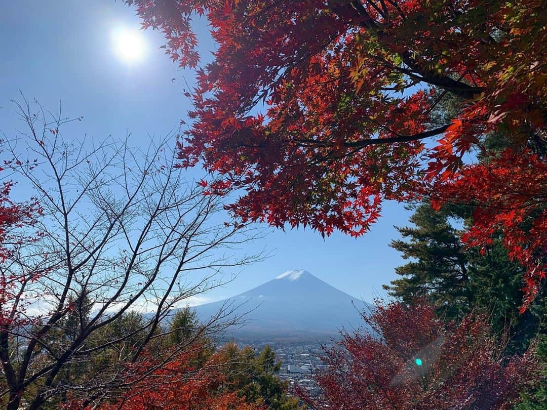 佐藤朱さんのインスタグラム写真 - (佐藤朱Instagram)「#富士山 #小さな事はどうでもよく思える  #日本の心 #ドライブ日和 #心の洗濯  #japan #yamanashi #mtfuji  #trip #travel」11月12日 13時25分 - akechi516